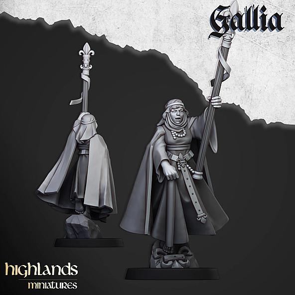 Damsel of Gallia on Foot - 3D Printed in Multiple Materials - View 1 | MoltenHub