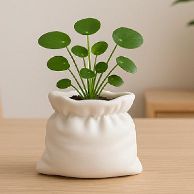 Soft Bag Vase